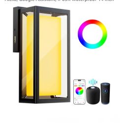 NEW DENFEIC OUTDOOR WALL LIGHT