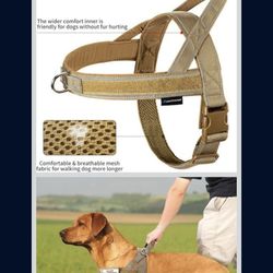 Dog harness