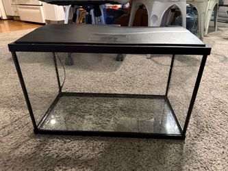 10 Gallon Tank