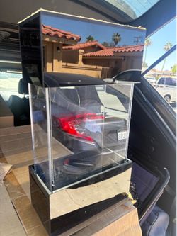 Mini fish tank