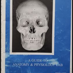 A guide Anatomy and Physiology lab Manual