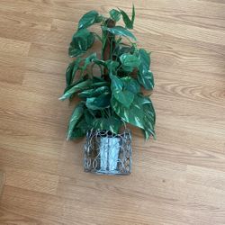 Fake house or office plant