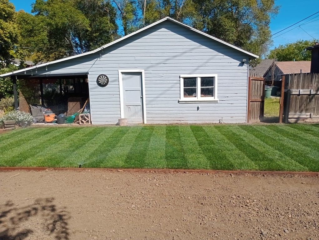 New Grass Installed