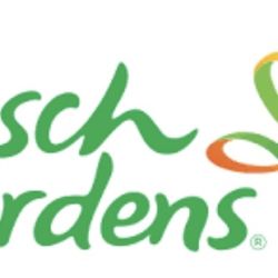 Busch Gardens Tampa Tickets $60