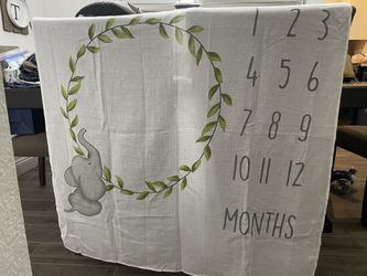 Baby Month To Month Photos 