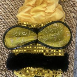 Pet Halloween costume adorable bumblebee