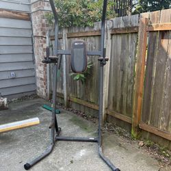 Larger Pull up Stand 