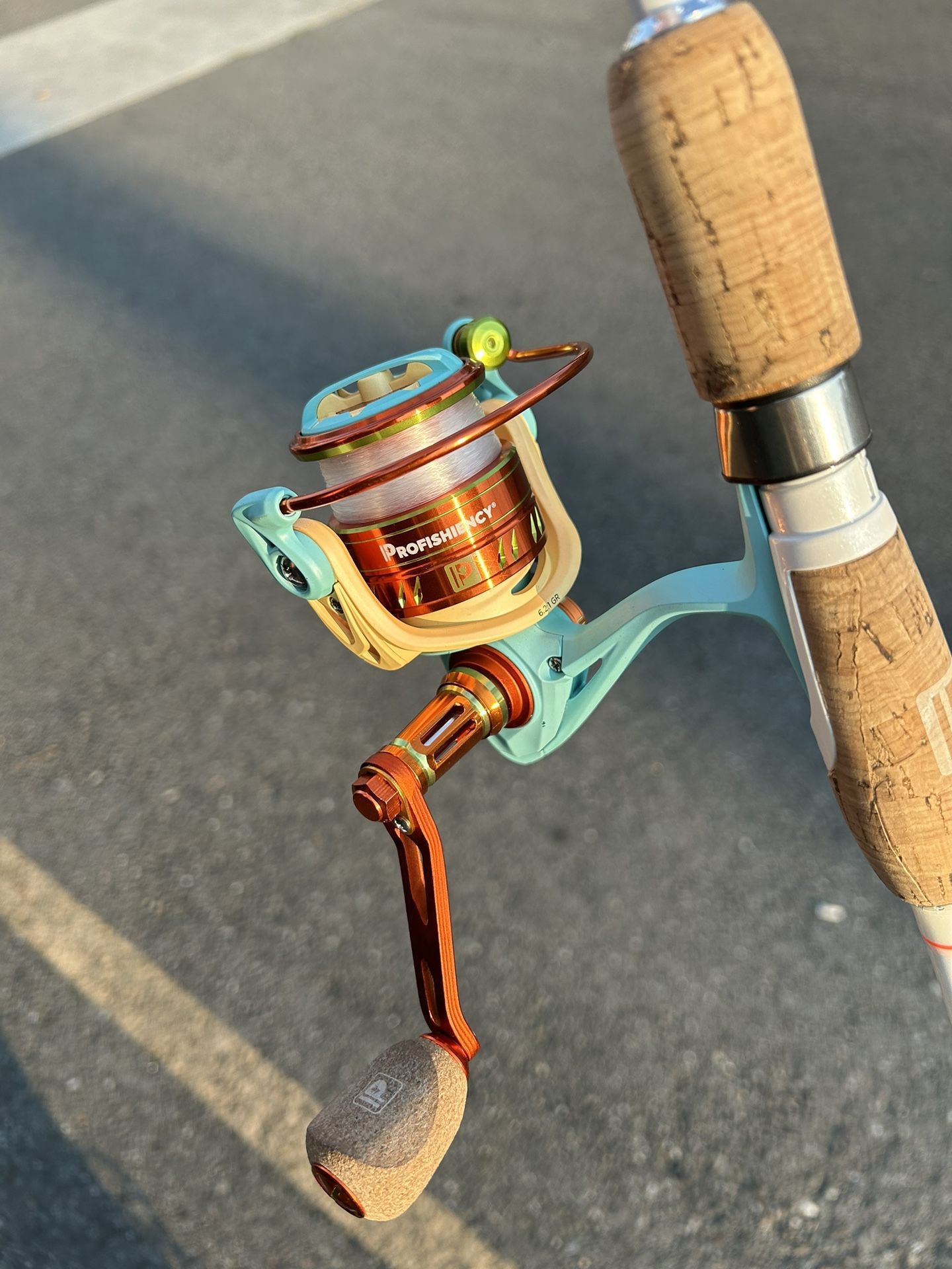 Profishiency Fishing Pole