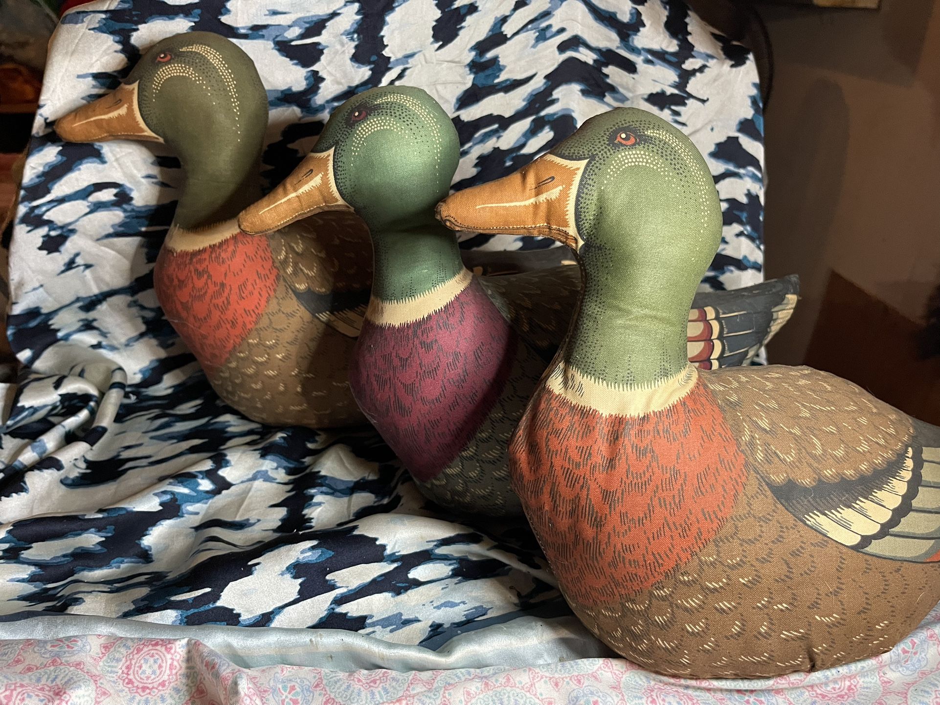 Mallard Ducks