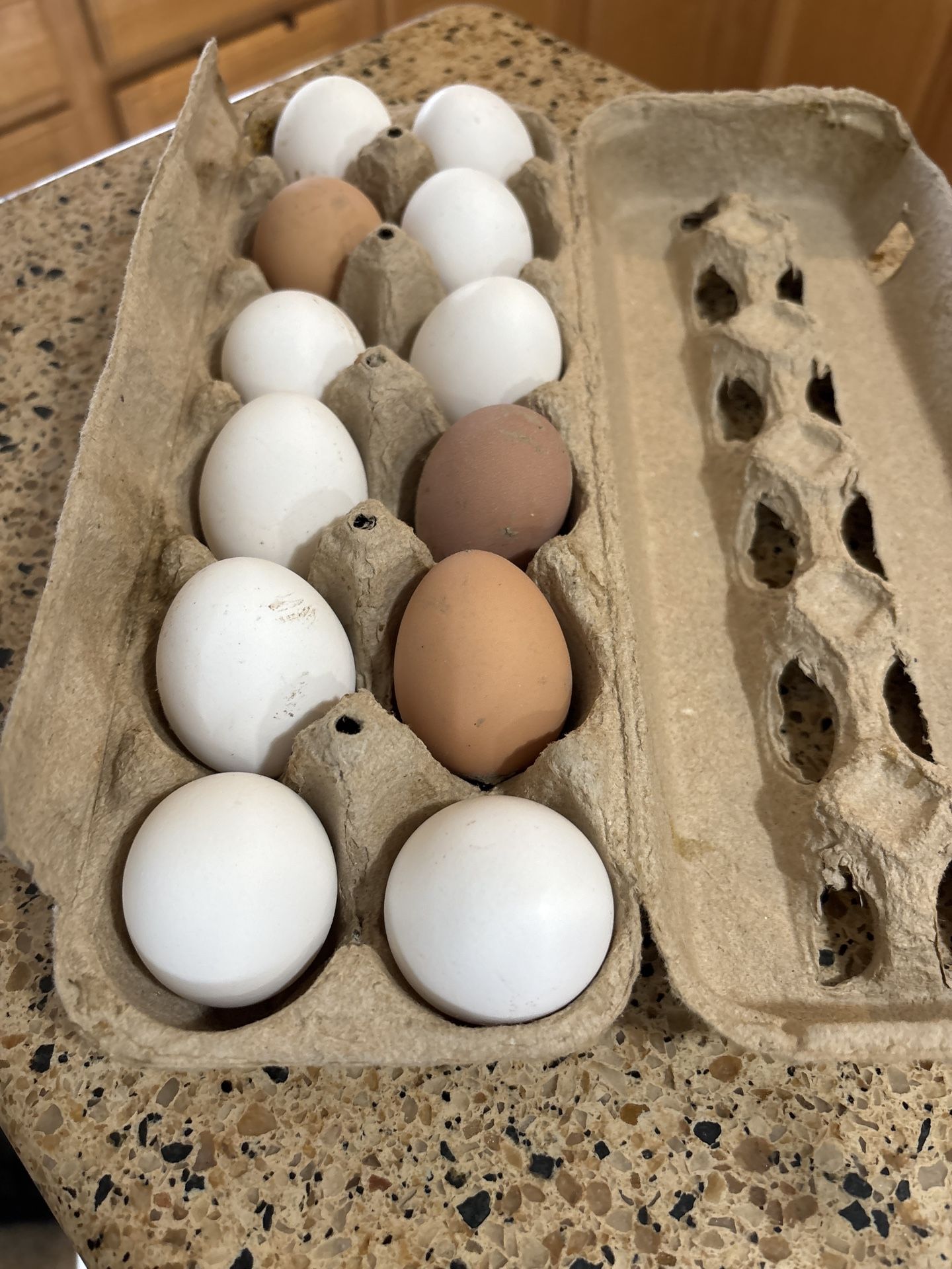Carton Of Mixed Colored Fresh Eggs