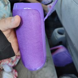 Bluetooth Speaker 
