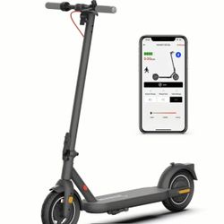 Standup Adult Scooter .  10 Inch Tire 