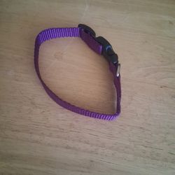 Dog Collar 