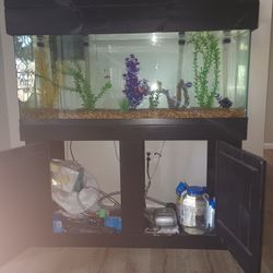55 Gallon Fish Tank