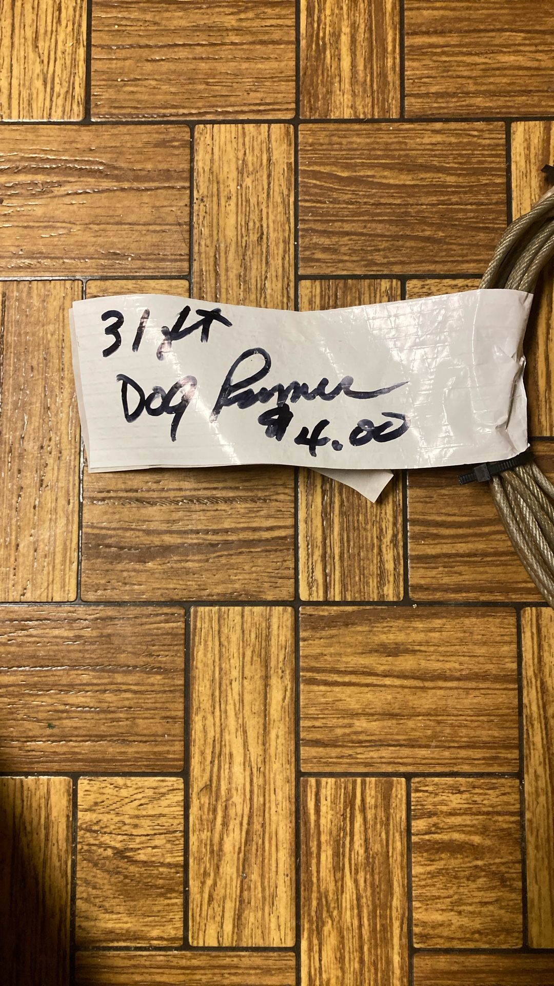 31 Ft Dog Runner