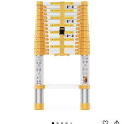 Telescopic Ladder 