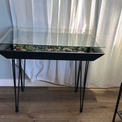 Garden Table With Plants And Japanese Sea Glass
