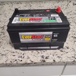 Everstart Platnium Battery Agm Technology New 