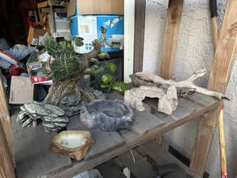 Reptiles Supplies