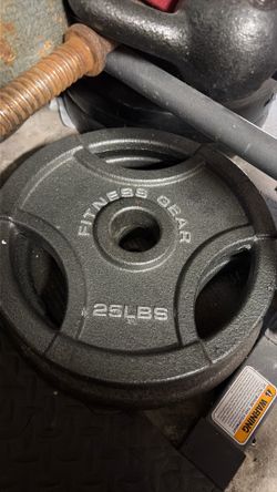 25lb Plate (2 Available)