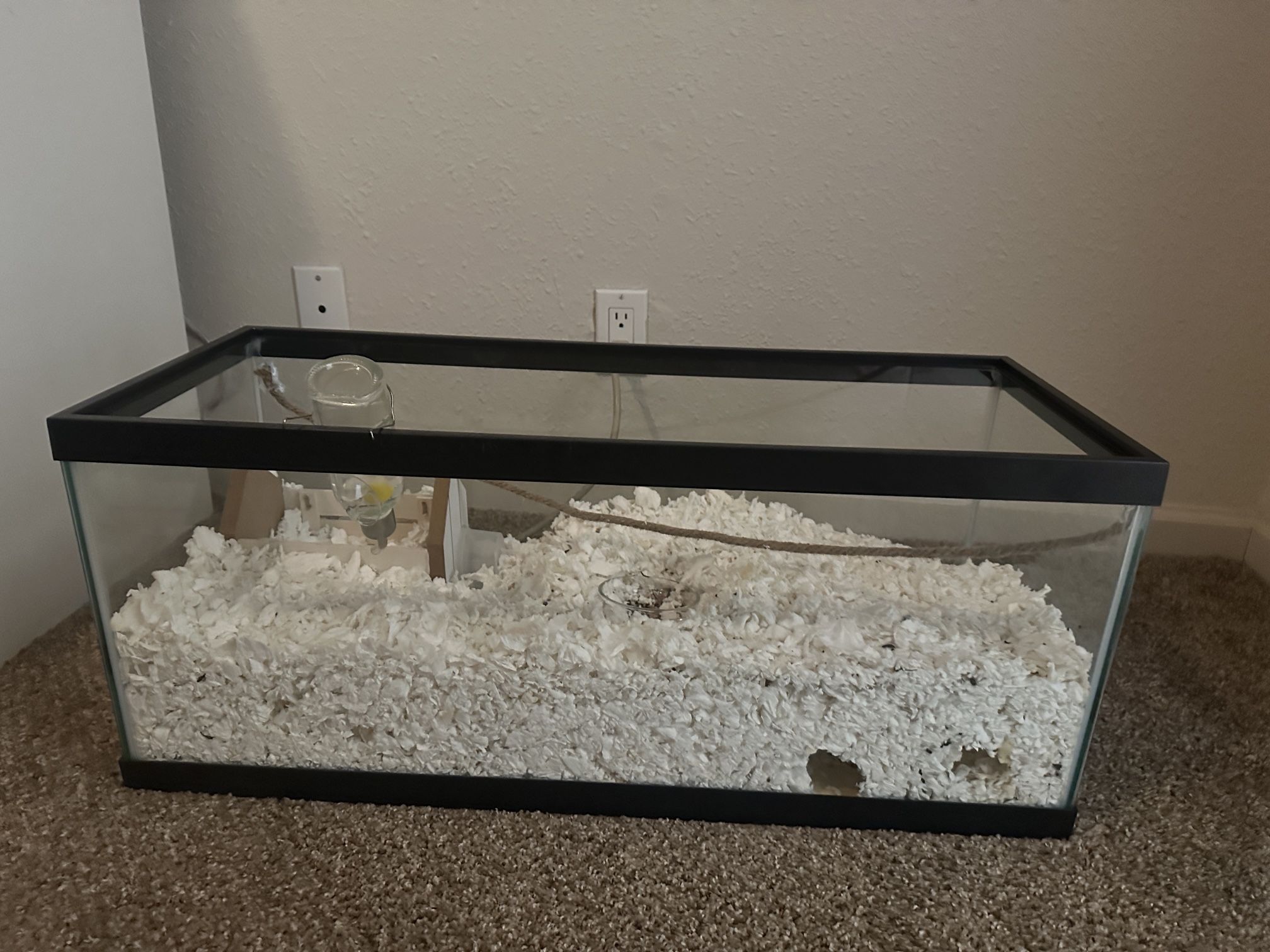 Rat Cage (Read Description)