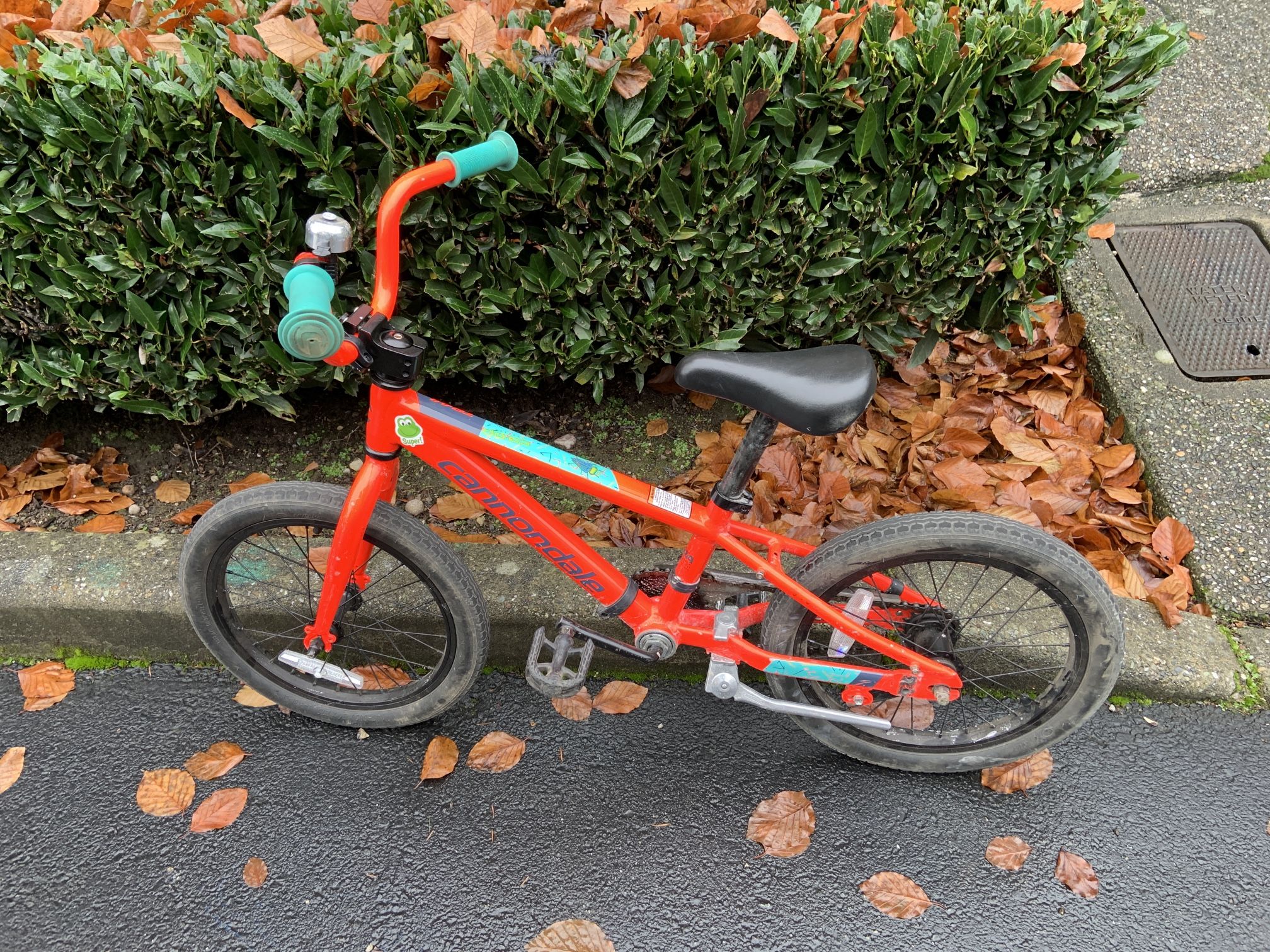 Cannondale Trail Kids Bike