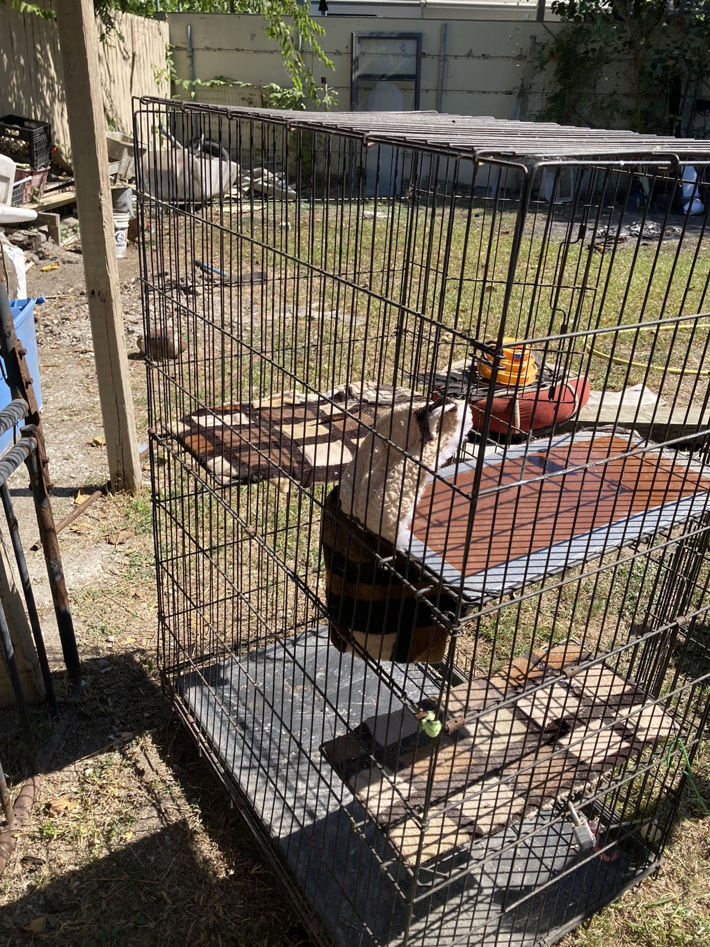 Jaula Pet carriers & Houses