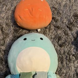 Large SquishMallow Variety