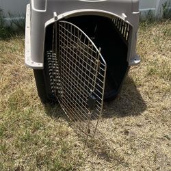 Dog Kennel 