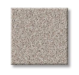 12 x 21’8” Carpet Remnant