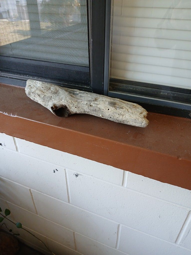 Aquarium Natural Driftwood