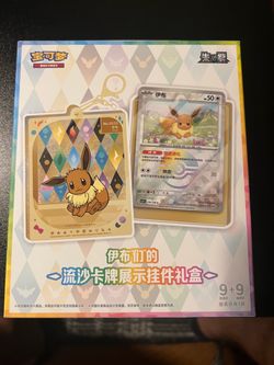 Pokémon Eevee Chinese TCG Gift Box Set