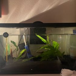 FISH TANK