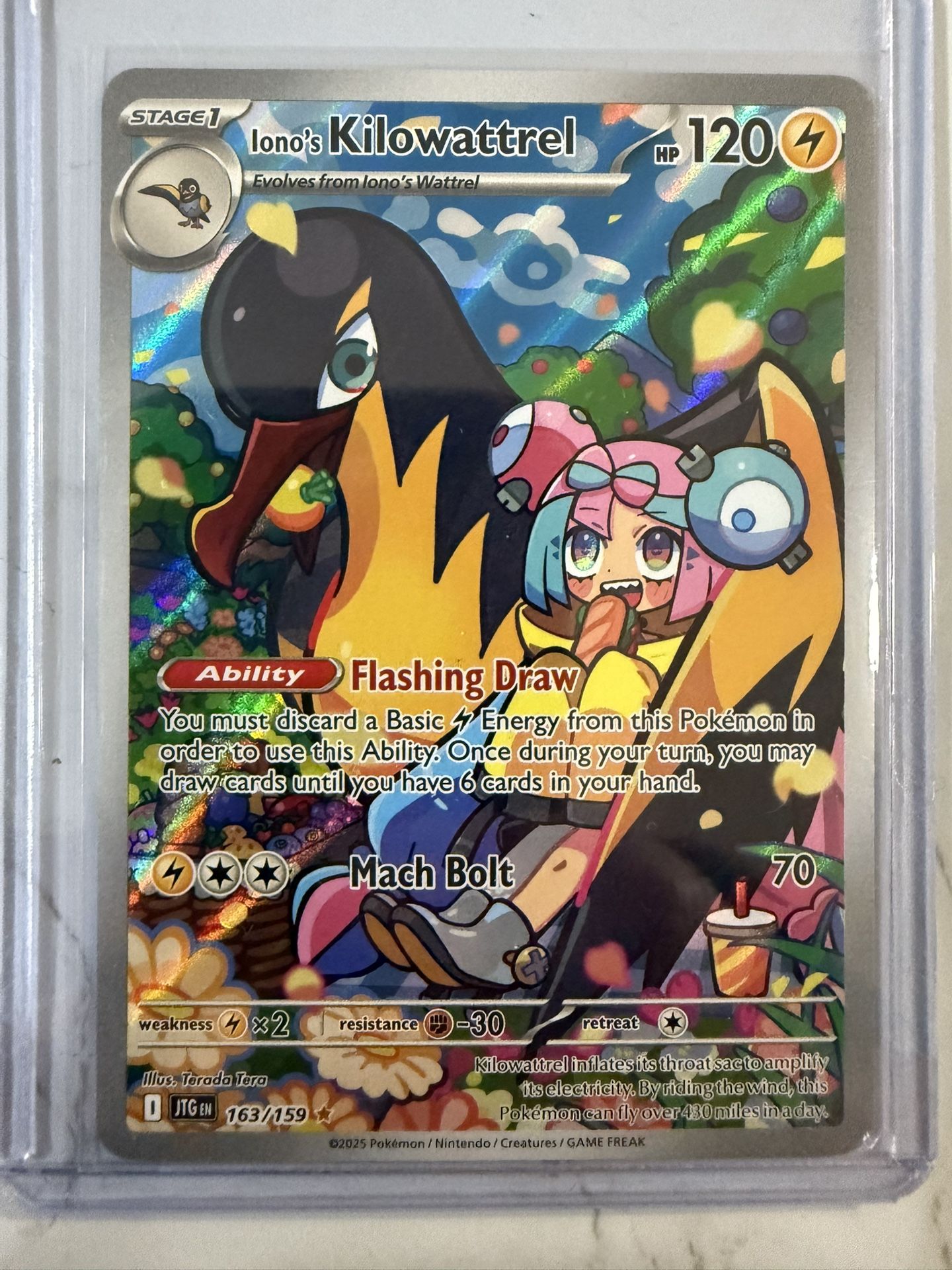 Pokemon Iono’s Kilowattrel Journey Together