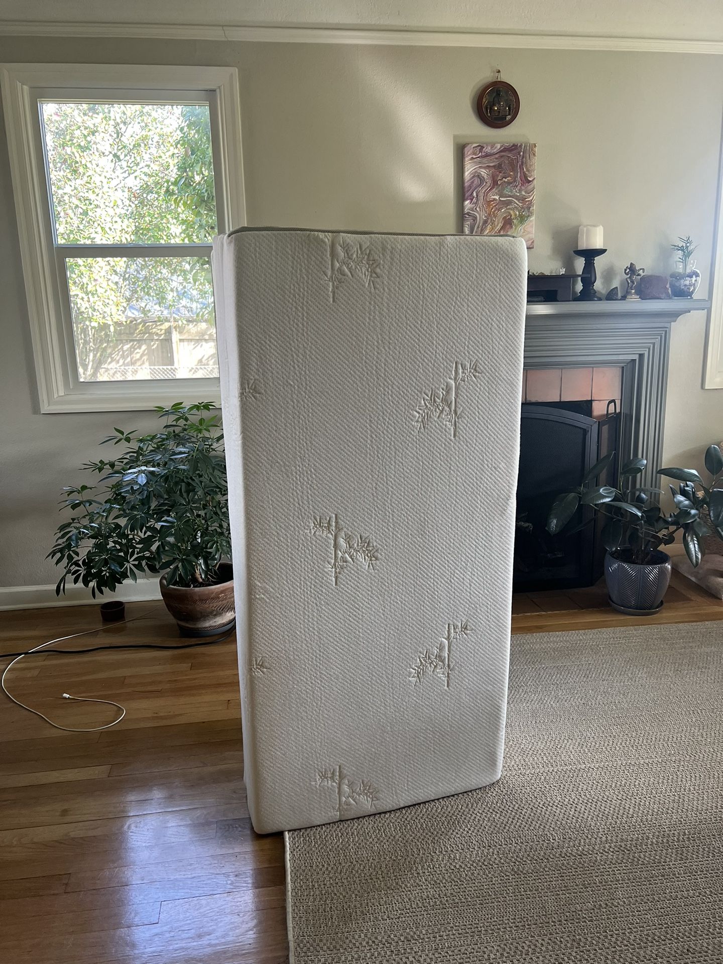 Folding Mattress With Washable Cover