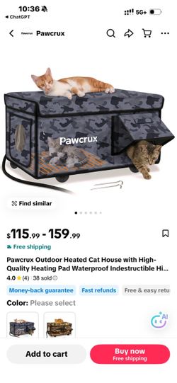 new cat bed with heat
