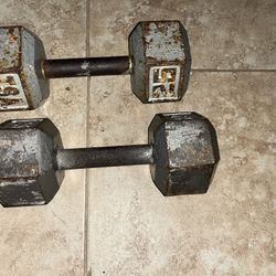 25 Pound Dumbbells 