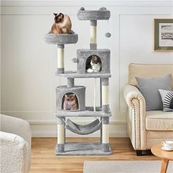 KITTENS tree