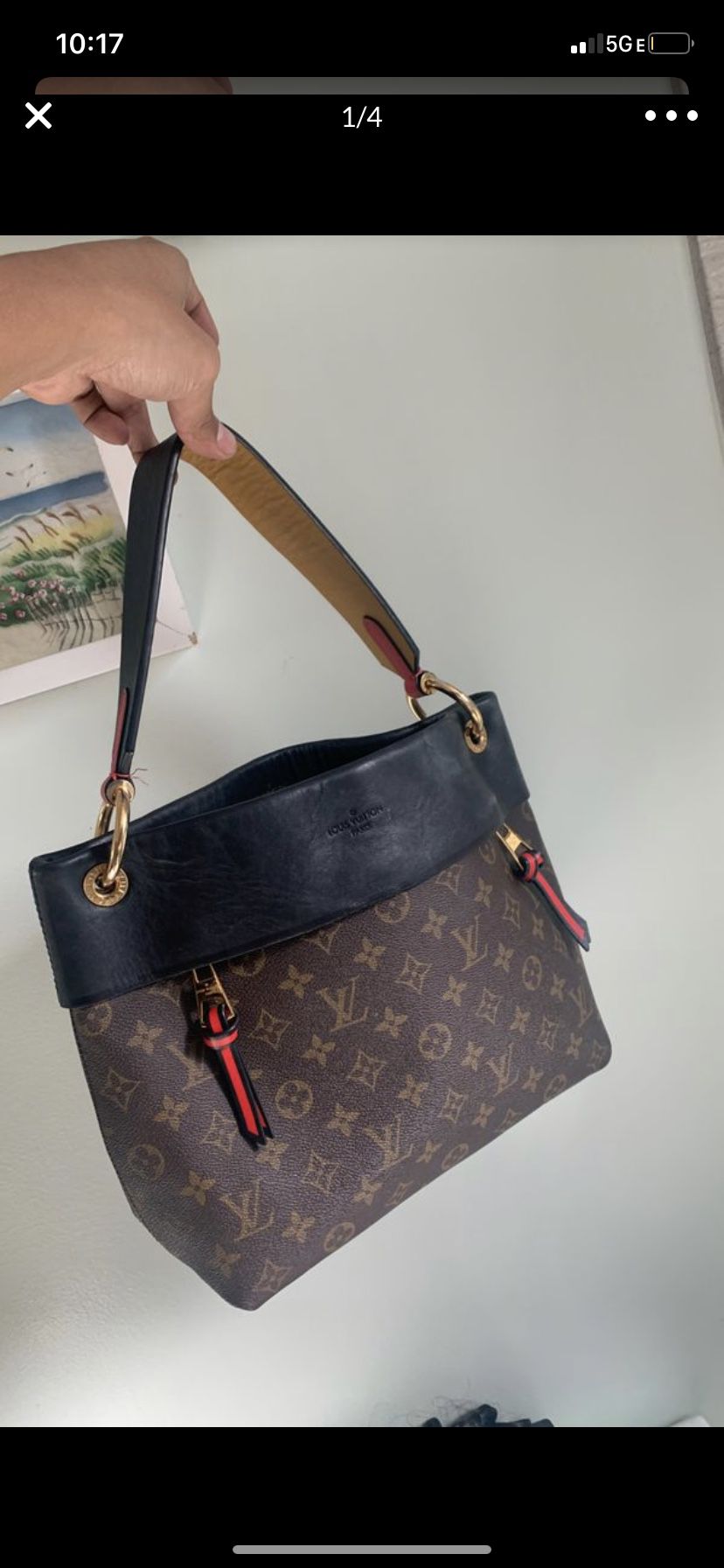 Louis Vuitton purse/bag .