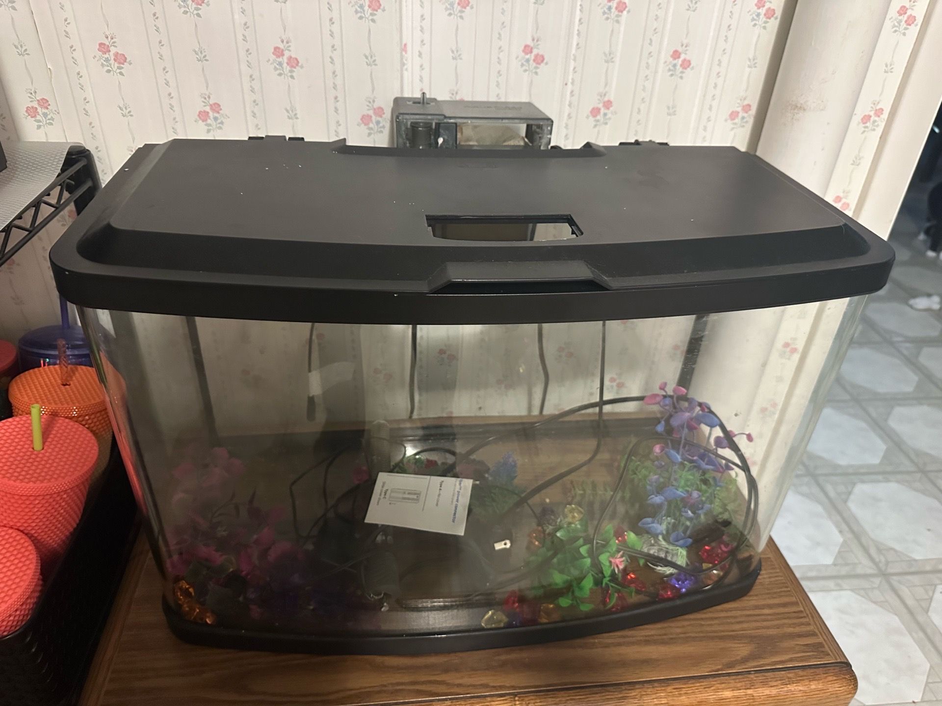 Fish tank