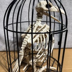 Bird Skeleton in Cage Halloween Decoration