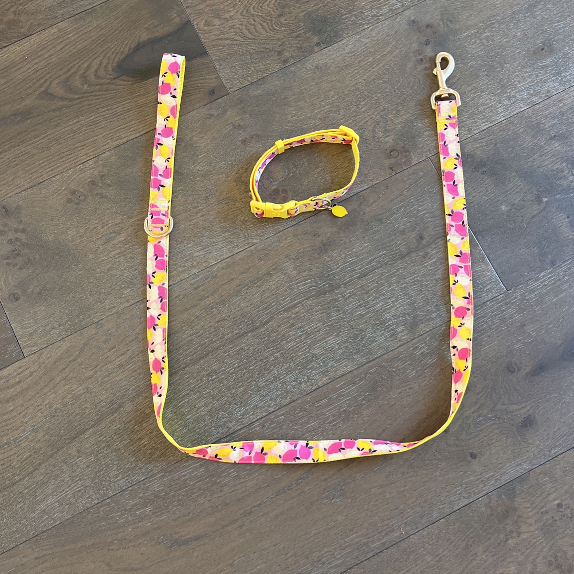 Lemon Print Dog Leash And Collar Set