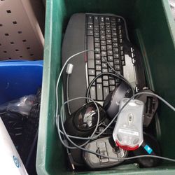 Computer Keyboards And Mice