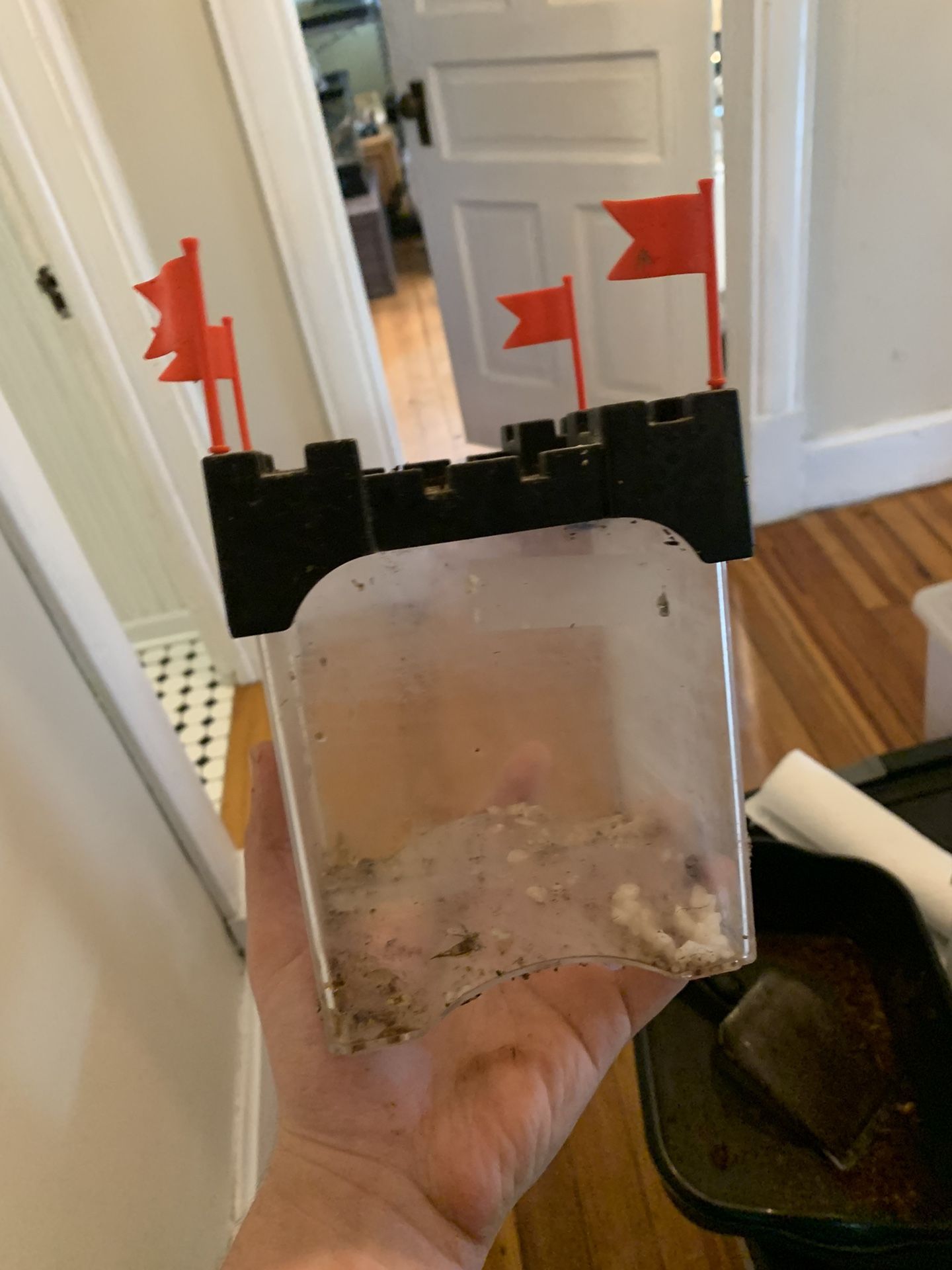 Betta Fish Tank!! $5!!