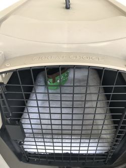 Dog Kennel