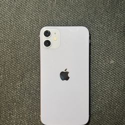 iPhone 11 (with Box) Price Is Firm