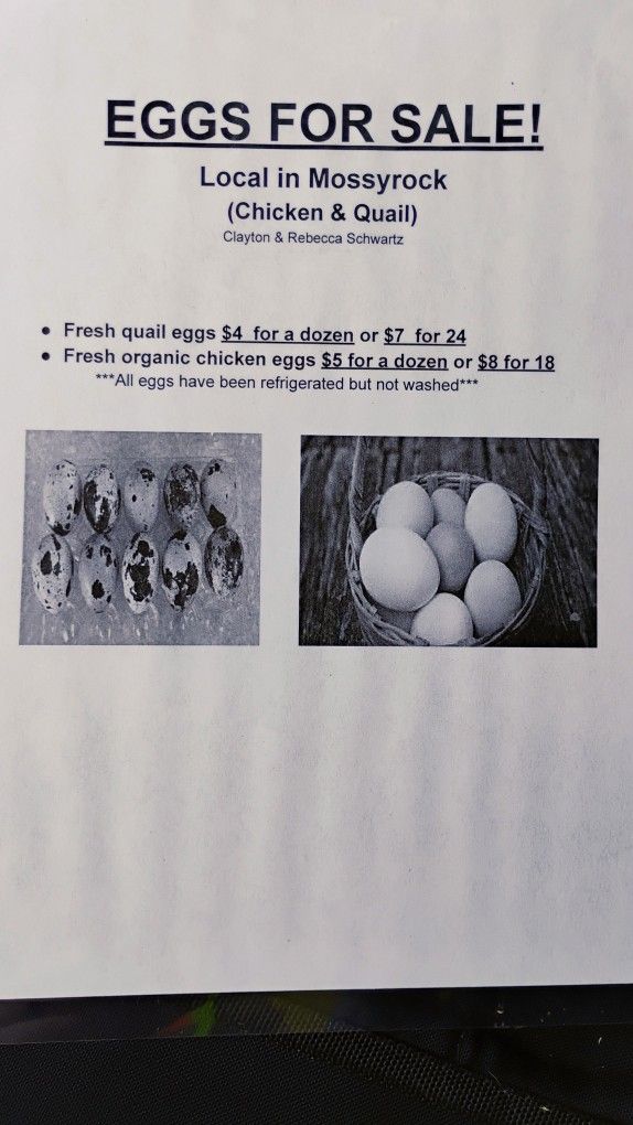 Eggs