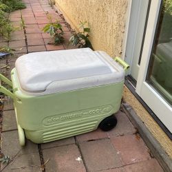 Igloo Wheelie Cool 42 