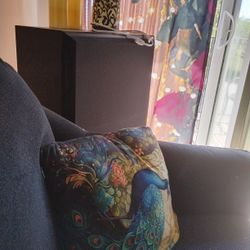 Two Big Speakers