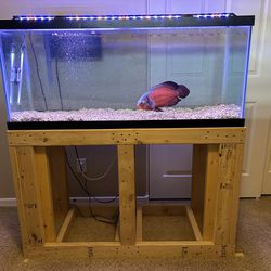 Fish Room For Sale
